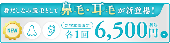 身だしなみ脱毛として鼻毛・耳毛が新登場！