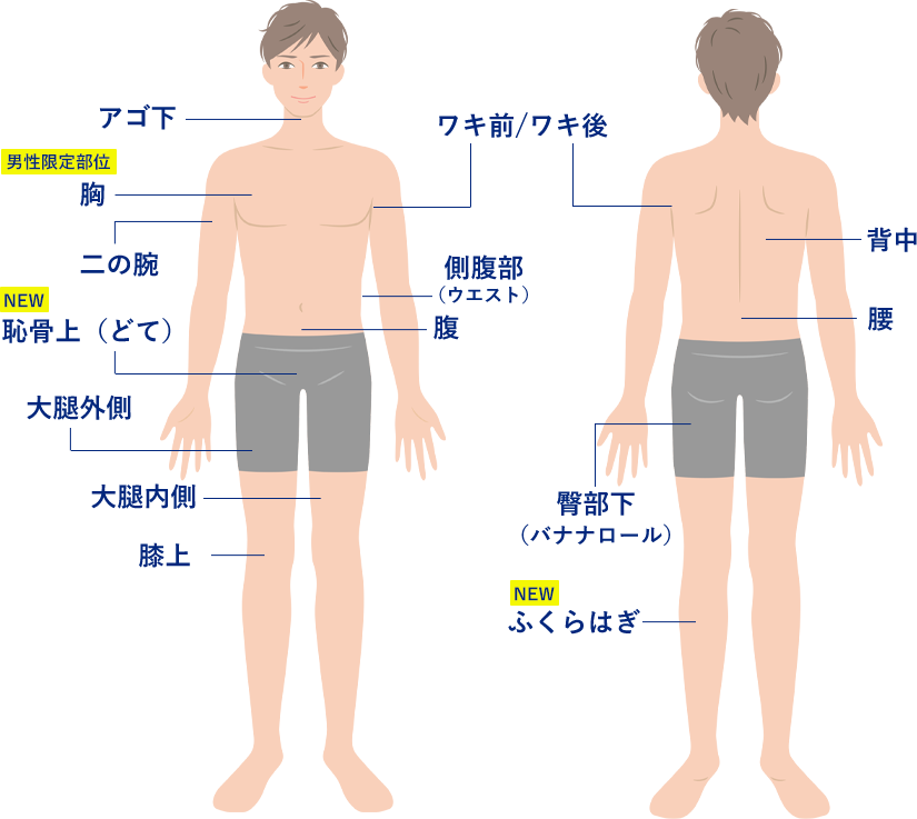 男性のクールスカルプティング（クルスカ）施術対象部位