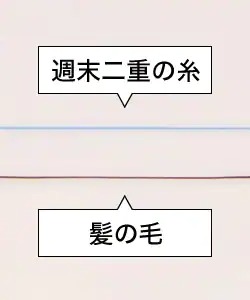 週末二重の針