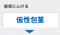 仮性包茎